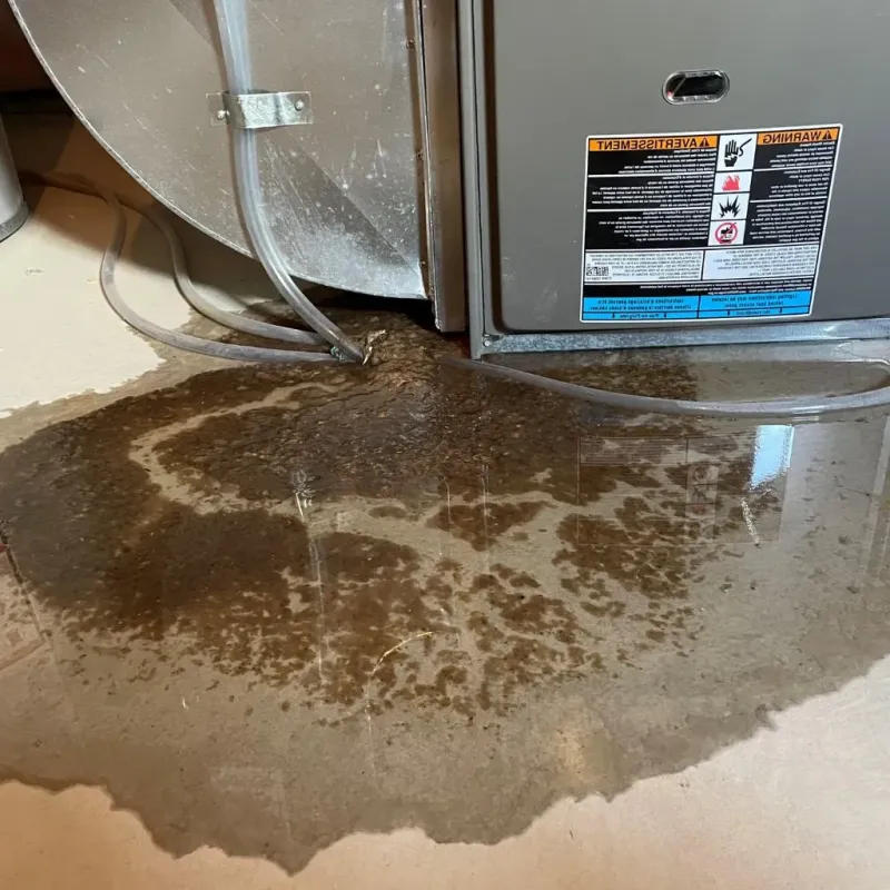 Pipe Burst and Leak Restoration in Sedgwick County, CO